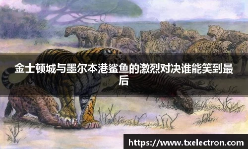 金士顿城与墨尔本港鲨鱼的激烈对决谁能笑到最后